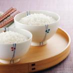 ������̵�����̳�ƻ�����Ԥ꤫�ڥ��եȴۡ�