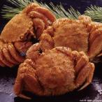 ������̵���ۥܥ����Ӥ��˻ѡڥ��եȴۡ�