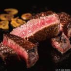 ������̵���۾���������դ����ޡ����������ȡ��֥ꥢ��ڥ��եȴۡ�