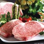 ������̵�������������������󥹥ơ����ڥ��եȴۡ�