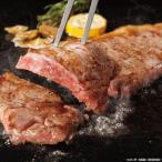 ������̵�������ܻ����µ����������ơ����ڥ��եȴۡ�