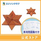  san .. мозаика ( из дерева мозаика + рабочая тетрадь ) комплект 