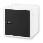 Aska сборка тип место хранения box чёрный бриллиант ru таблеток SB500BK 4522966313377
