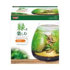 GEX グラスアクアリウム ガラス製水槽 ティアー 4972547032591