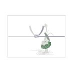 sa SaGa wa носигами . лотос .. штамп ( гора ) 100 листов 3-423 4974268217592