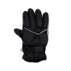  Uni машина промышленность для мотоцикла защищающий от холода цвет перчатка DX черный / серый BS-087GY 4982612839024