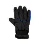  Uni машина промышленность для мотоцикла защищающий от холода цвет перчатка DX черный / голубой BS-087BL 4982612839031