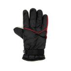  Uni машина промышленность для мотоцикла защищающий от холода цвет перчатка DX черный / красный BS-087RE 4982612839048