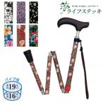 杖、ステッキ