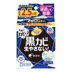 浴室 浴槽 防カビ らくハピ お風呂カビーヌ 無香性 170g アース製薬 介護用品