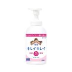  мыло для рук лекарство для пена модель для бизнеса чистый чистый лекарство для пена мыло для рук 550mL citrus полный -ti. аромат лев высокий Gene рука палец стерилизация дезинфекция уход товары для ухода 