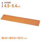 段差解消スロープ 屋内用 安寿 段差スロープEVA1000 535-615 ＃50 (幅100×奥行20×高さ5cm) アロン化成 介護用品