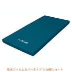 マットレス 床ずれ (代引き不可) アルファプラすくっとRe 防水フィルムカバータイプ TS-SKT-ReW1S  91cm幅ショート タイカ