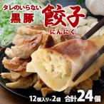鹿児島県産黒豚使用 タレのいらない 黒豚餃子 12個入り 2袋 冷凍 塩餃子 鹿児島県 ハロウィン 産地直送 お取り寄せ ギフト