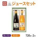 送料無料 鹿児島 ジュースセット ( ブルーベリー・マンゴー ) 720g × 各1本  近藤農園 フルーツジュース ネクター 濃厚 無添加 国産  完熟 お中元