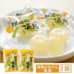 送料無料 こしき海洋深層水 桜島小