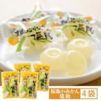 送料無料こしき海洋深層水桜島小みか...