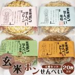 送料無料 玄米ポンせんべい 4種セット（プレーン・塩味・しょうゆ味・カレー味）     郷土料理 鹿児島 薩摩川内  銘品 プレゼント