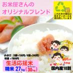 米 27kg 精米 送料無料 