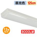 to черновой type LED беж скользящий [12 шт. комплект ]LED лампа дневного света MAX8000lm 1250mm 40W type 2 тип света соответствует LED лампа дневного света прибор в одном корпусе to черновой форма BL-ZX-12set