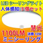 LEDシーリングライト 人感センサー付き 5個セット 10W  1100LM 小型 色選択 SCLG-10W-X-5set