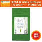 爽快水素 AGEs diffense う