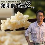 無農薬 無肥料 発芽前玄米2Kg | お試しセット 何度でもご利用頂けます 福岡県産 令和5年度産 元気つくし 0.5分づき米 発芽玄米 筑後久保農園 自然栽培米