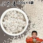 .. пшеница 500g 4 пакет нет пестициды ячмень Fukuoka префектура производство . после . гарантия сельское хозяйство .