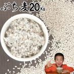 .. пшеница 20Kg нет пестициды ячмень Fukuoka префектура производство . после . гарантия сельское хозяйство .