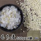 もち麦 500g 4袋 大麦 くすもち二条 無農薬 筑後久保農園 福岡県産 国産