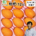  День матери органический локва 12 шар 5 месяц 6 день доставка минут прохладный рейс .. иметь машина JAS одобрено biwa подарок внутри праздник . ответ подарок классификация 