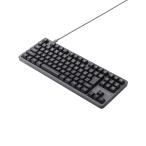 エレコム Leggero USB有線メカニカル テンキーレス キーボード 静音赤軸メカニカルスイッチ グレー ELECOM TK-MC31UKPAGY