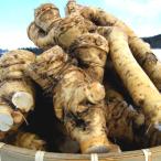 .. гора васаби Hokkaido производство запад васаби 1kg шланг редис re отверстие 