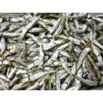  внутри . море производство для бизнеса 2024 год предмет . дуть производство .. большой перо ...1 kilo ввод Kagawa производство .. суп ... 