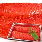  рыба вода остров Япония море * Niigata производство сырой ..( сырой ...) сезон ограничение [.... крупный сырой соленая икра лосося ] 500g