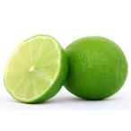  Mexico производство свежий ключ lime (* средний Южная Америка лимон / lime ~) примерно 1.5kg/ примерно 50 шар 