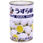 天狗缶詰 うずら卵 水煮 国産 JAS 7号缶 150g缶×24個入