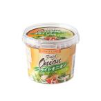 トマトコーポレーション パストデコ フライドオニオン 100g×6個