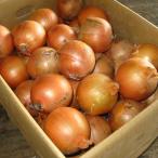  Hokkaido производство шар лук порей L большой или 2L размер 10kg.. лук tama лук-батун лук репчатый 