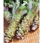 книга@ васаби 1~4шт.@( примерно 150g) нет пестициды культивирование Yamagata префектура производство 