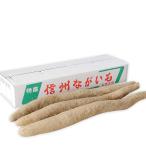  китайский ямс батат ...... клубень Toro ro Nagano префектура производство 5kg местного производства производство земля из .. длина . дом для запад . синий .