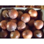  название рука сельское хозяйство . Awaji Island производство лук репчатый шар лук порей 2025 год производство 5kg шар лук порей в продаже 