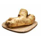  Hokkaido Tokachi производство гора васаби 500g ультра . шланг редис .. гора васаби зелень-коренья свежий подарок подарок . земля производство . данный земля прекрасный тест .... two n