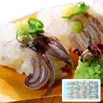 yali кальмар geso вдоволь 20 листов ввод для бизнеса 