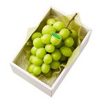 ショッピングシャインマスカット 新宿高野 シャインマスカット1入E #29100