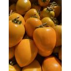 yamada фрукты Ehime префектура производство большой ~ средний размер высушенный хурма для хурма примерно 10kg ( love . хурма ). хурма ветка есть . хурма высушенный хурма ... хурма ... хурма ... хурма для 