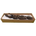  Sakai da фрукты [.. renkon 2 шт. входит .( примерно 1.6kg)]