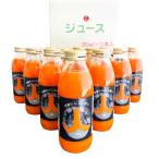 2025年産無農薬にんじん使用 ストレ