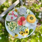 NEW 2023 год День матери капкейк цветок 6 вид ручная работа Niigata популярный магазин Ugly Duckling праздник .. конфеты конфеты подарок кондитерские изделия 