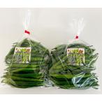 [11 месяц средний . примерно до отправка ] из . Kyushu производство сырой синий перец стручковый 1kg(500g×2 пакет ) местного производства синий перец стручковый синий сырой перец стручковый синий красный острый перец синий сырой красный острый перец fresi